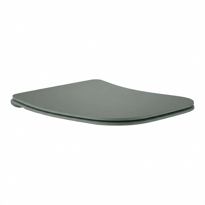 Toilet seat QUO C591R